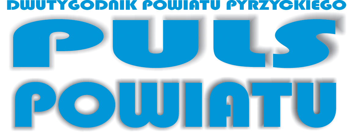 You are currently viewing ROCZNIK PULSU 2014