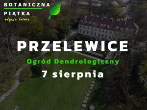 Read more about the article Botaniczna Piątka Przelewice – edycja letnia