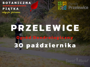 Read more about the article Botaniczna Piątka po raz trzeci w Przelewicach – jesienna edycja biegów!