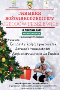 Read more about the article Jarmark Bożonarodzeniowy w Przelewicach