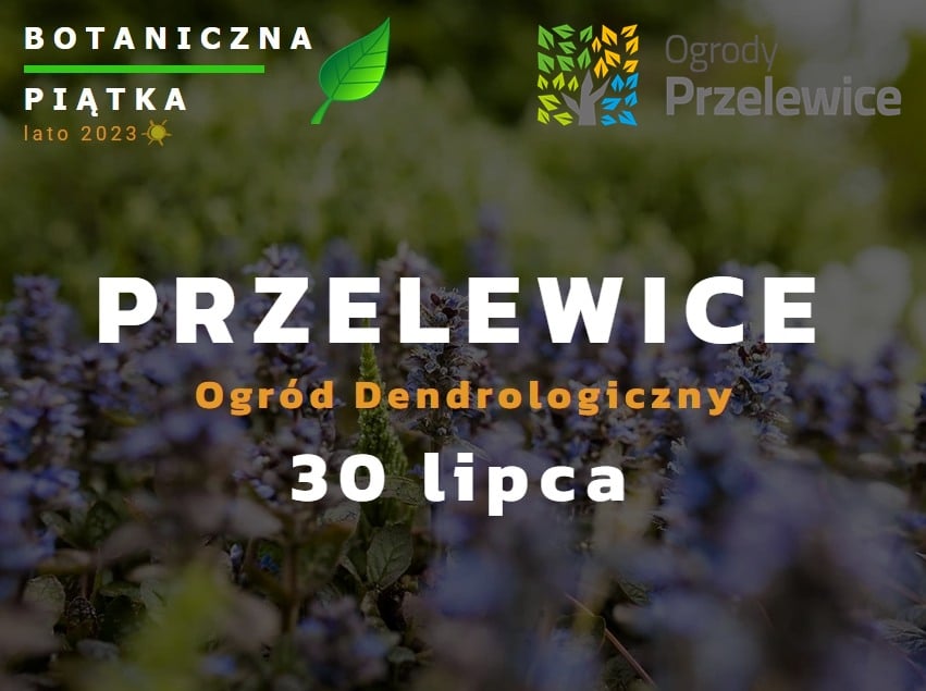 Read more about the article Botaniczna Piątka – edycja letnia już wkrótce!