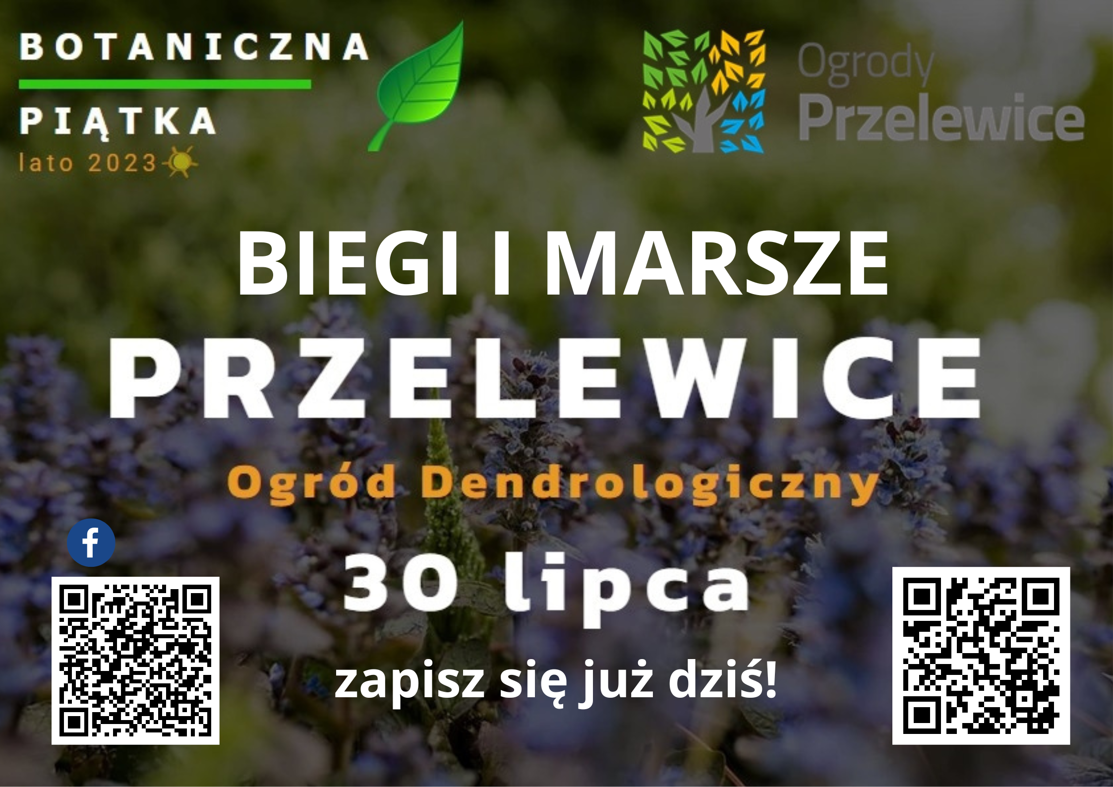 You are currently viewing Przygotuj się na Biegi Botaniczna Piątka w Przelewicach!