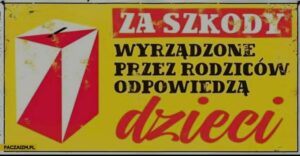 Read more about the article Powiat pyrzycki idzie na wybory !